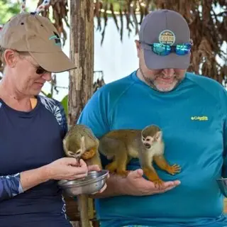 Visiteurs avec des petits singes