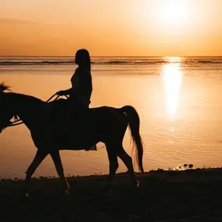 Cavalier sur la plage au coucher du soleil